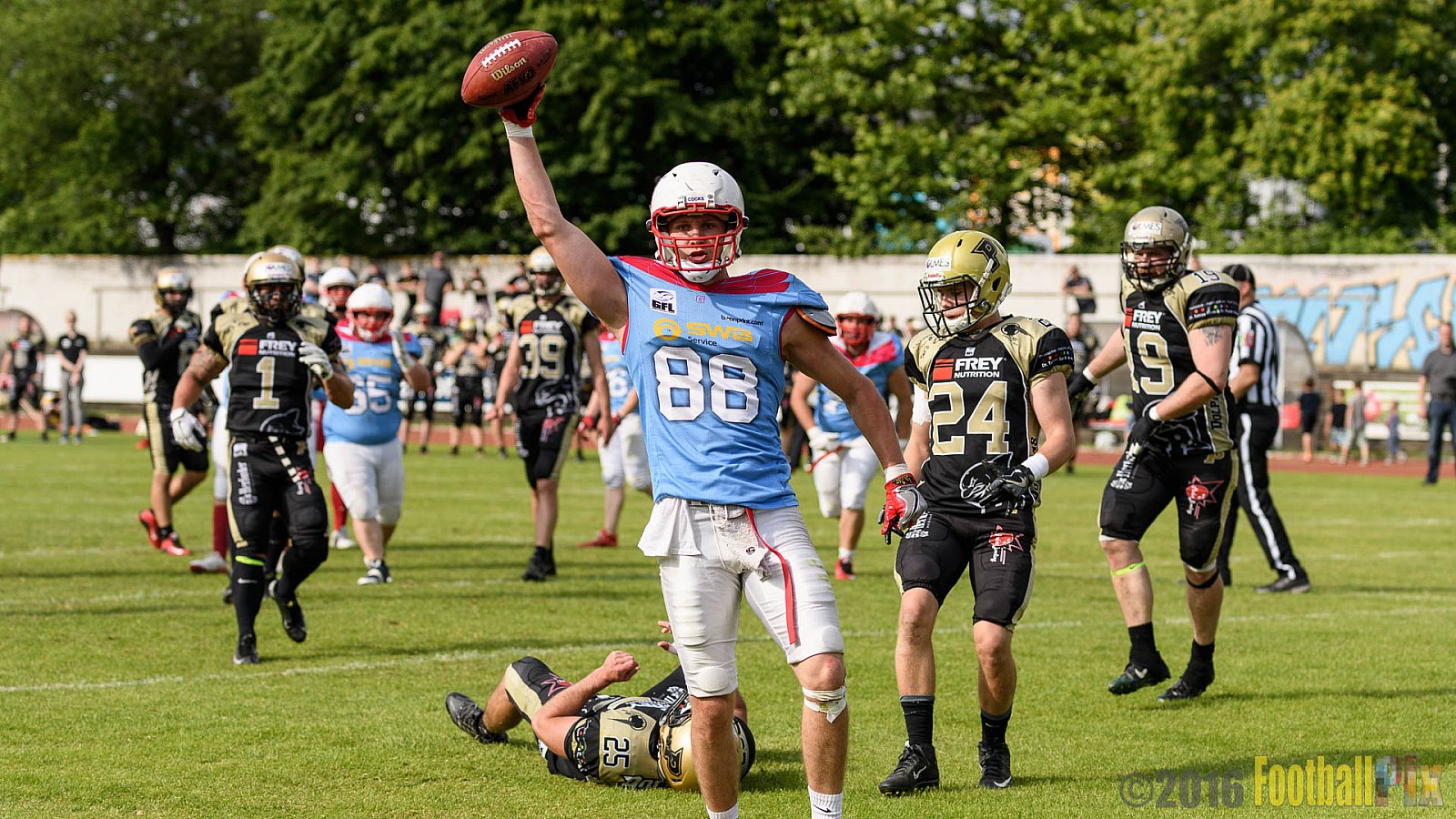  Bonn Gamecocks vs. Paderborn Dolphins - 11.06.2016 GFL2: Bonn Gamecocks vs. Paderborn Dolphins (37:40)