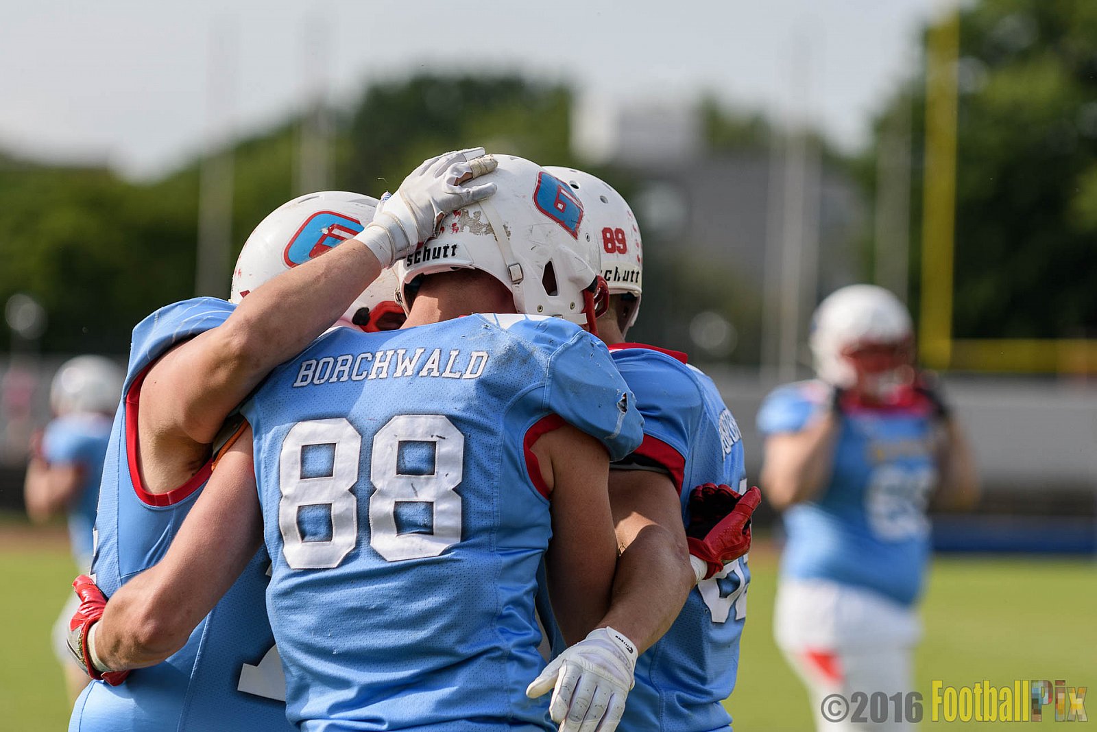  Bonn Gamecocks vs. Paderborn Dolphins - 11.06.2016 GFL2: Bonn Gamecocks vs. Paderborn Dolphins (37:40)