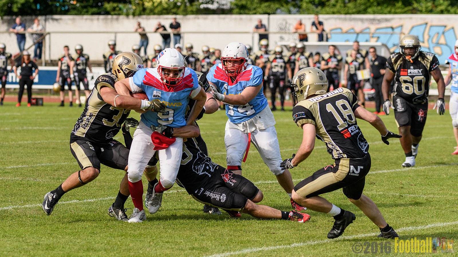  Bonn Gamecocks vs. Paderborn Dolphins - 11.06.2016 GFL2: Bonn Gamecocks vs. Paderborn Dolphins (37:40)