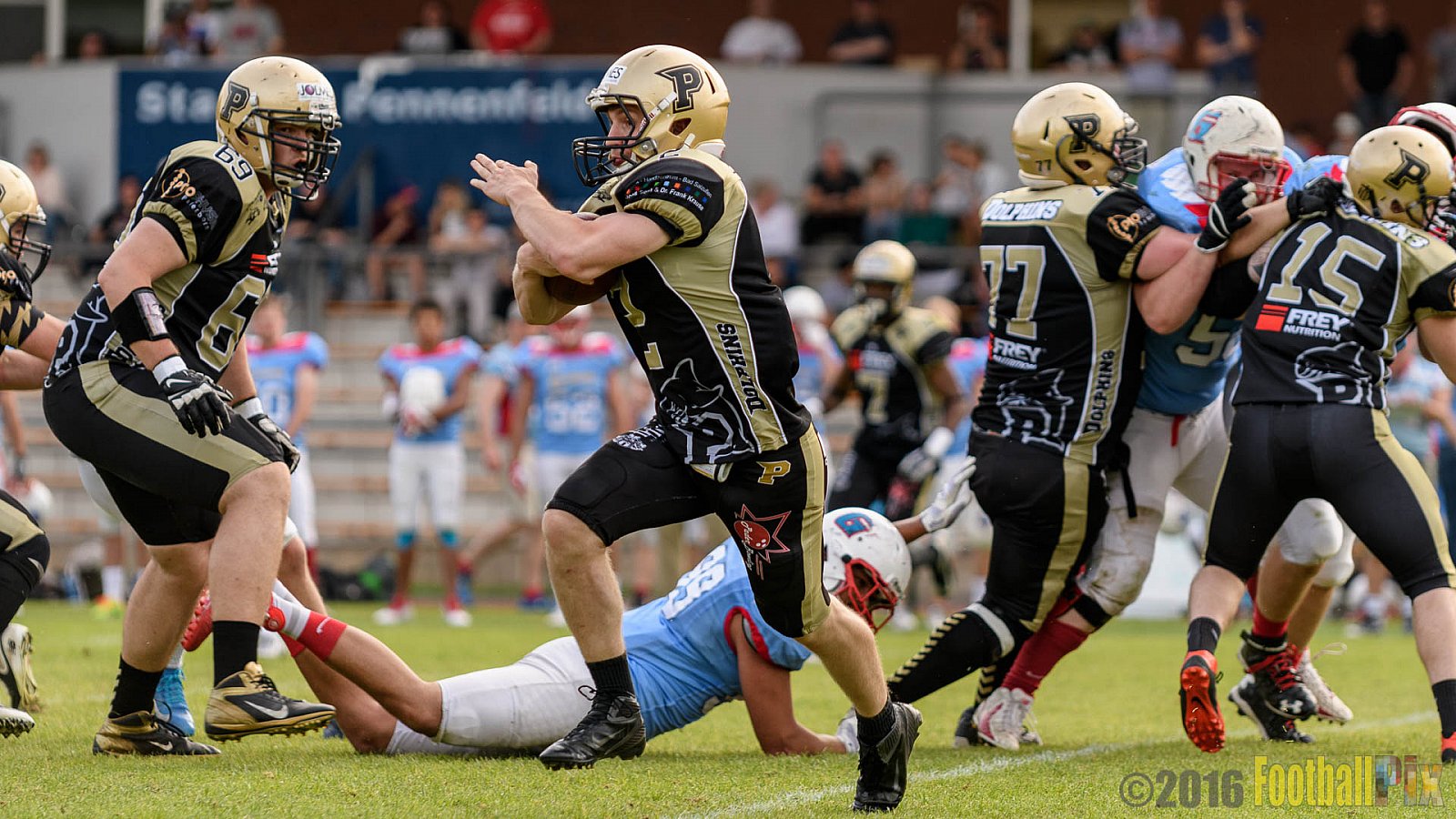  Bonn Gamecocks vs. Paderborn Dolphins - 11.06.2016 GFL2: Bonn Gamecocks vs. Paderborn Dolphins (37:40)