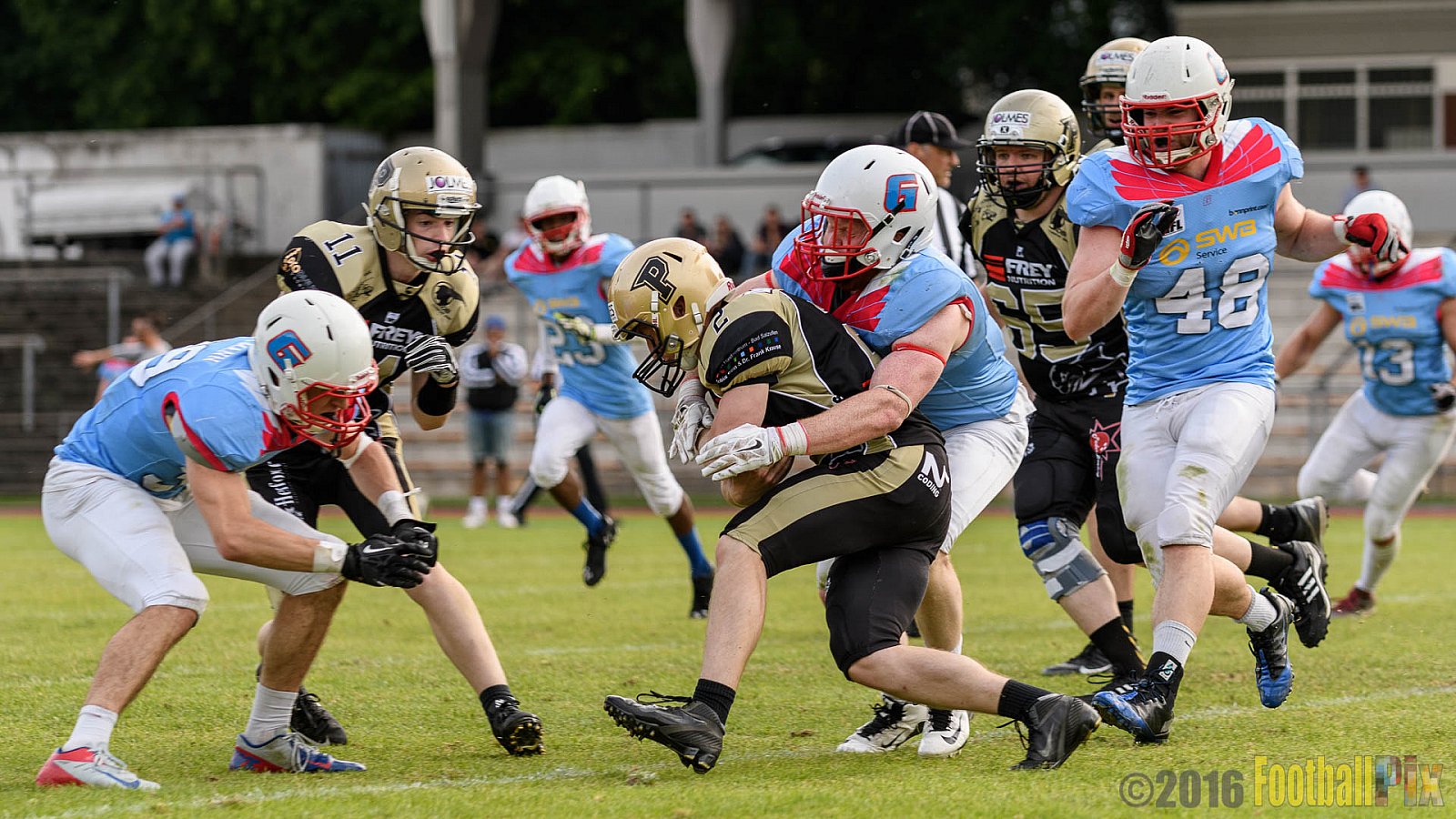  Bonn Gamecocks vs. Paderborn Dolphins - 11.06.2016 GFL2: Bonn Gamecocks vs. Paderborn Dolphins (37:40)