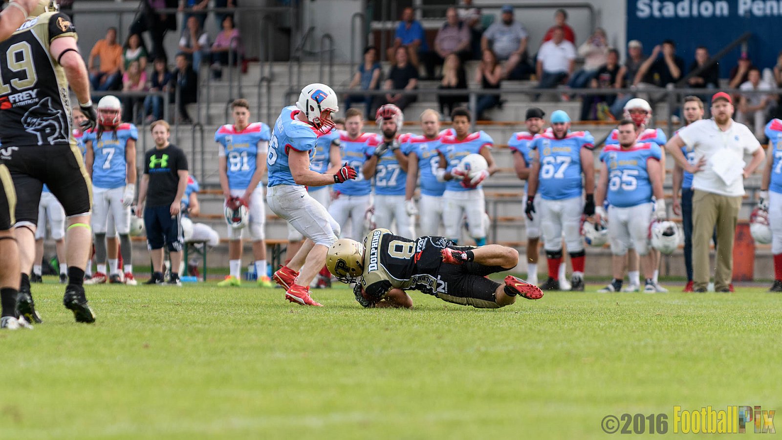  Bonn Gamecocks vs. Paderborn Dolphins - 11.06.2016 GFL2: Bonn Gamecocks vs. Paderborn Dolphins (37:40)