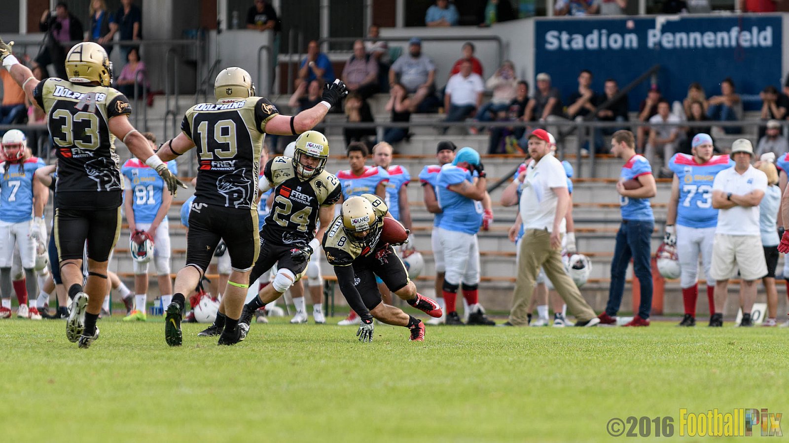  Bonn Gamecocks vs. Paderborn Dolphins - 11.06.2016 GFL2: Bonn Gamecocks vs. Paderborn Dolphins (37:40)