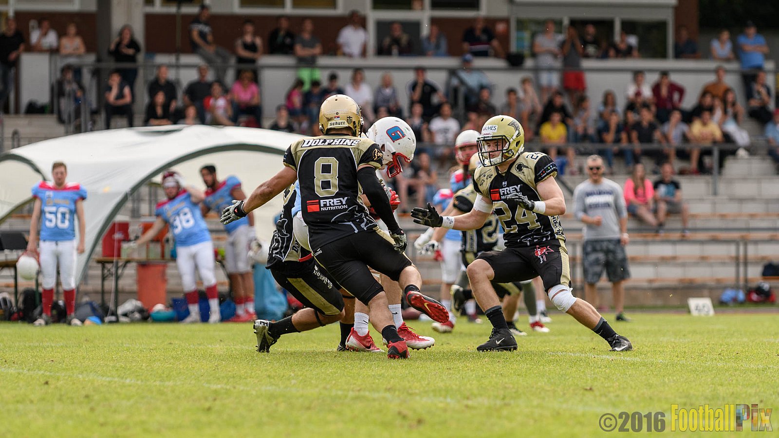  Bonn Gamecocks vs. Paderborn Dolphins - 11.06.2016 GFL2: Bonn Gamecocks vs. Paderborn Dolphins (37:40)