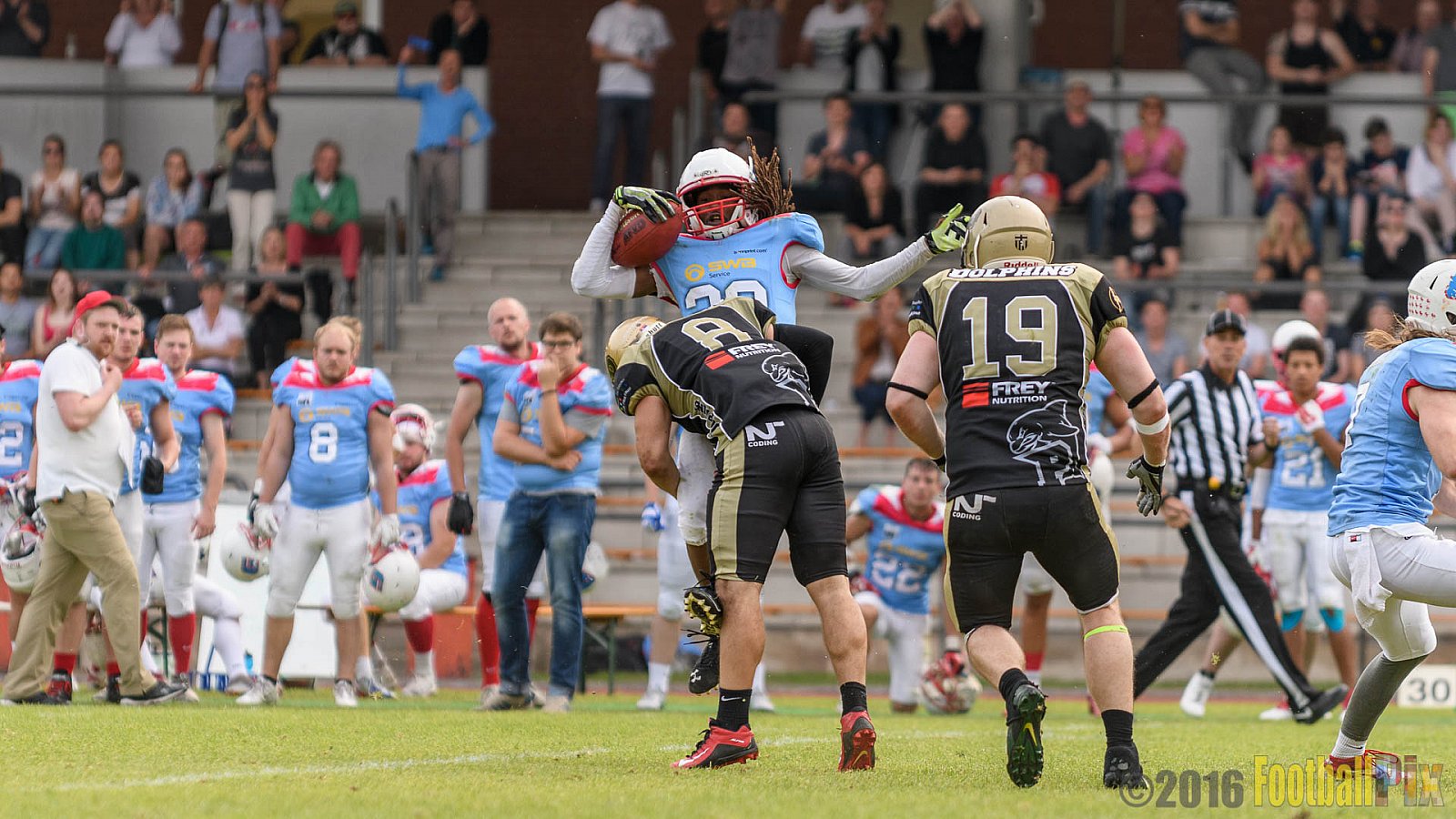  Bonn Gamecocks vs. Paderborn Dolphins - 11.06.2016 GFL2: Bonn Gamecocks vs. Paderborn Dolphins (37:40)