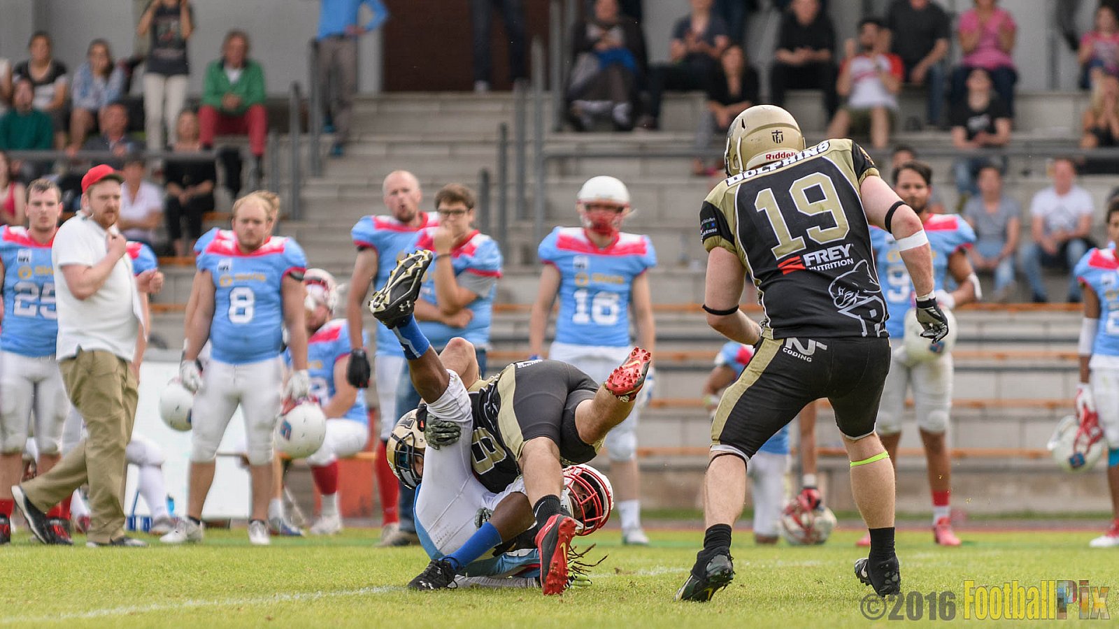  Bonn Gamecocks vs. Paderborn Dolphins - 11.06.2016 GFL2: Bonn Gamecocks vs. Paderborn Dolphins (37:40)