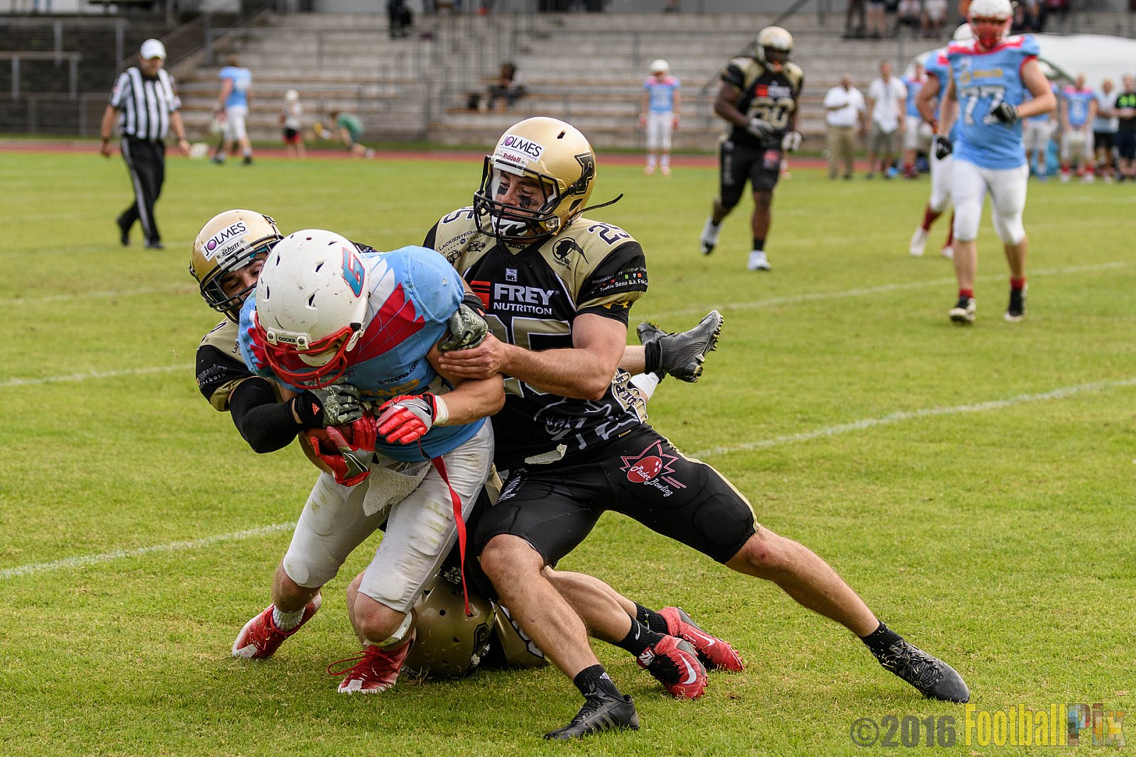 Bonn Gamecocks vs. Paderborn Dolphins - 11.06.2016 GFL2: Bonn Gamecocks vs. Paderborn Dolphins (37:40)