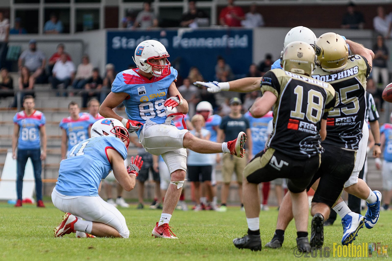  Bonn Gamecocks vs. Paderborn Dolphins - 11.06.2016 GFL2: Bonn Gamecocks vs. Paderborn Dolphins (37:40)