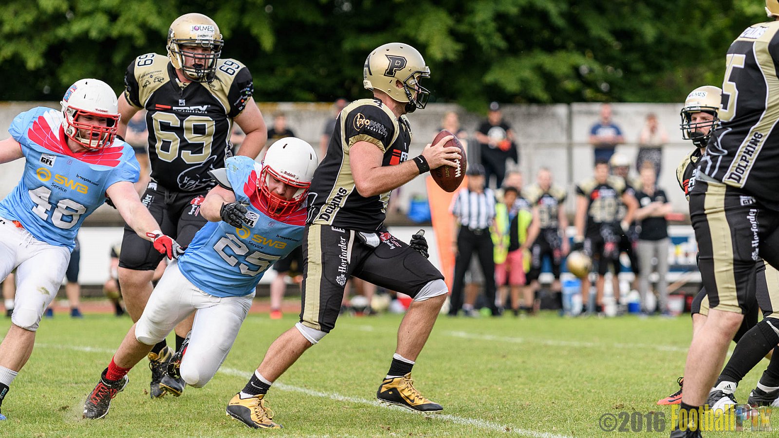  Bonn Gamecocks vs. Paderborn Dolphins - 11.06.2016 GFL2: Bonn Gamecocks vs. Paderborn Dolphins (37:40)
