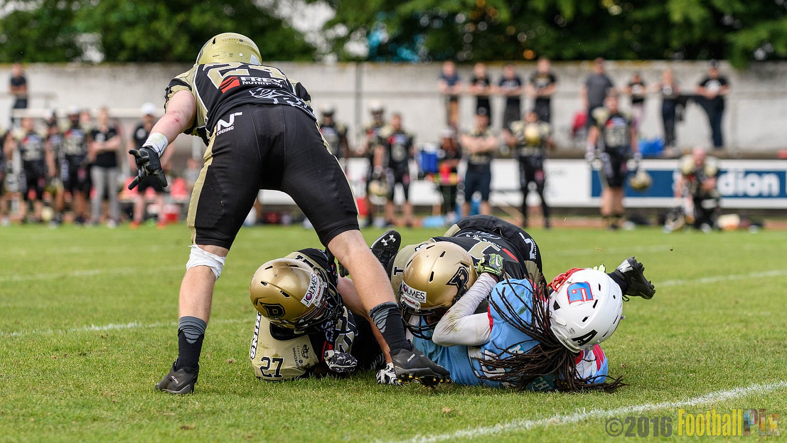  Bonn Gamecocks vs. Paderborn Dolphins - 11.06.2016 GFL2: Bonn Gamecocks vs. Paderborn Dolphins (37:40)