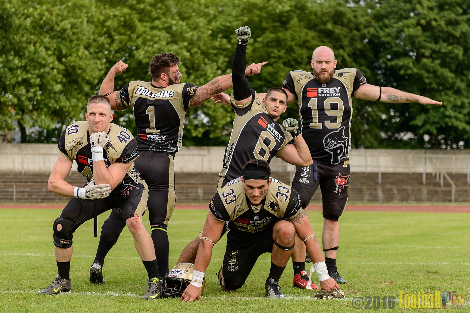  Bonn Gamecocks vs. Paderborn Dolphins - 11.06.2016 GFL2: Bonn Gamecocks vs. Paderborn Dolphins (37:40)