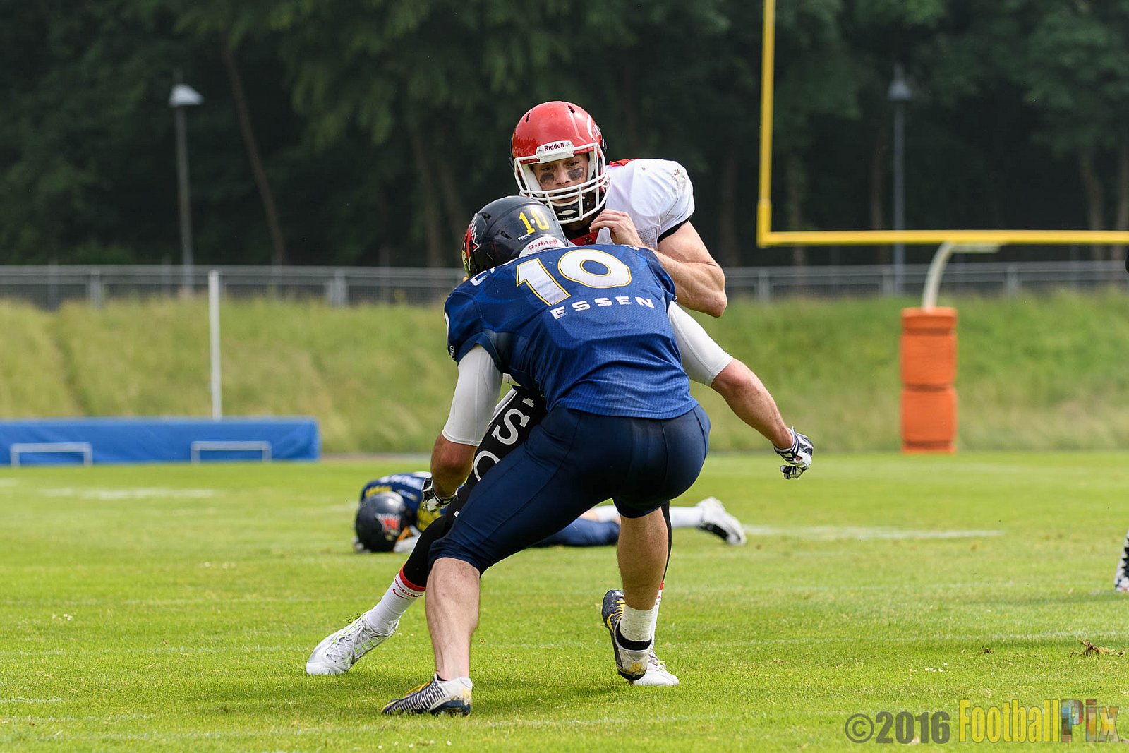Essen Assindia Cardinals vs. Potsdam Royals - 12.06.2016 GFL2: Essen Assindia Cardinals vs. Potsdam Royals (9:34)