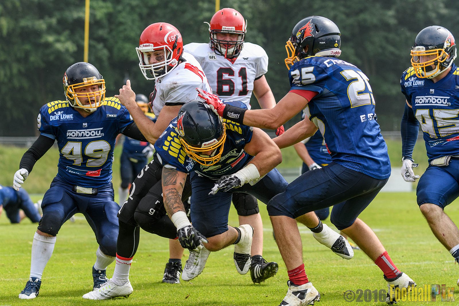 Essen Assindia Cardinals vs. Potsdam Royals - 12.06.2016 GFL2: Essen Assindia Cardinals vs. Potsdam Royals (9:34)