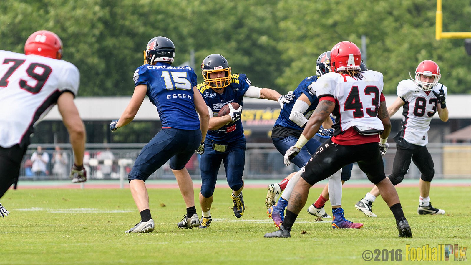 Essen Assindia Cardinals vs. Potsdam Royals - 12.06.2016 GFL2: Essen Assindia Cardinals vs. Potsdam Royals (9:34)