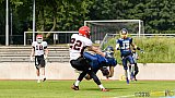 Essen Assindia Cardinals vs. Potsdam Royals - 12.06.2016 GFL2: Essen Assindia Cardinals vs. Potsdam Royals (9:34)
