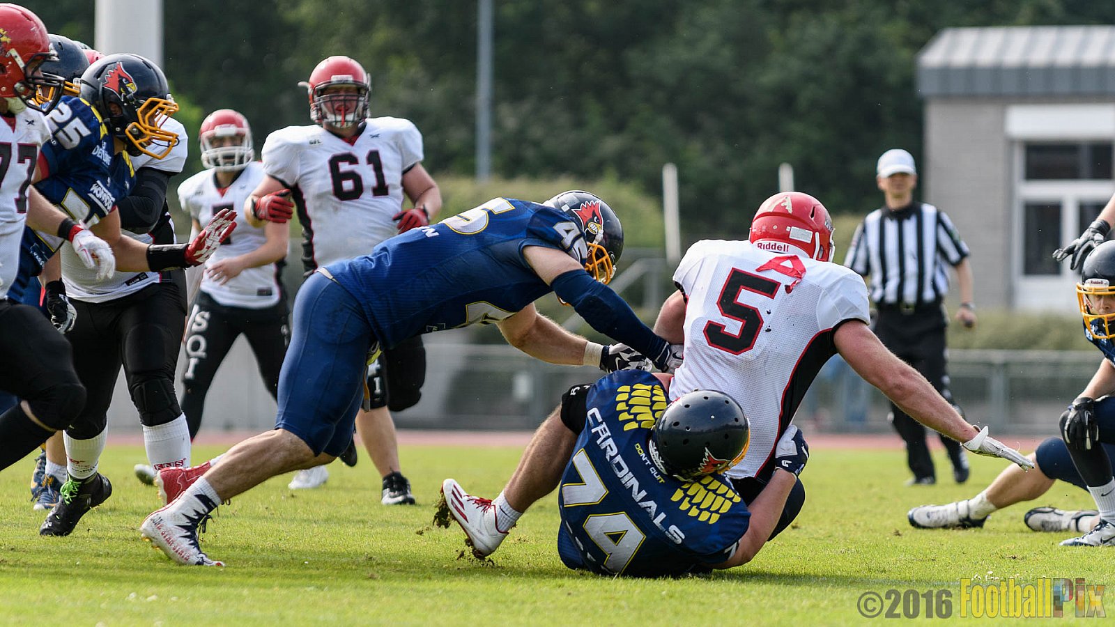 Essen Assindia Cardinals vs. Potsdam Royals - 12.06.2016 GFL2: Essen Assindia Cardinals vs. Potsdam Royals (9:34)