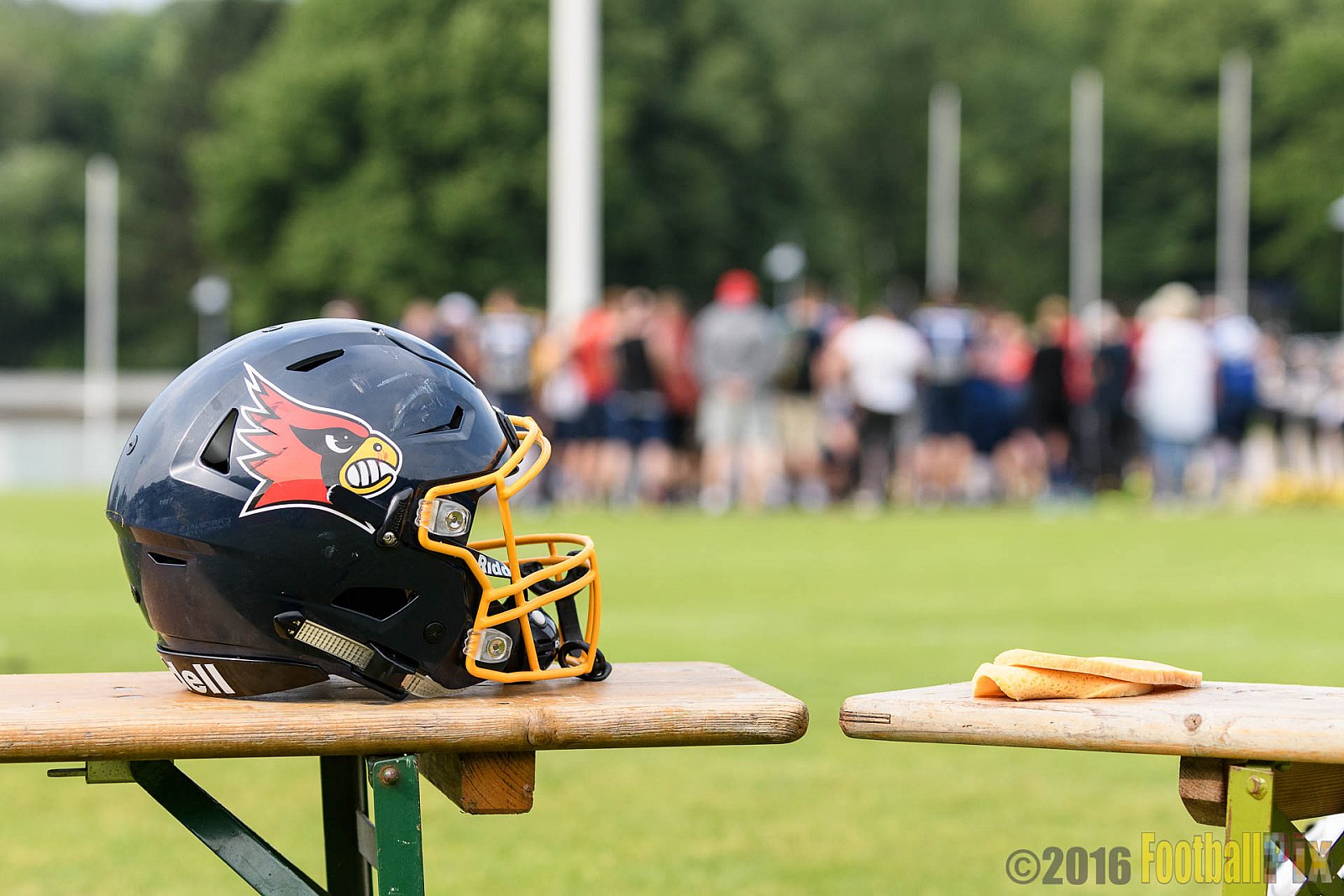 Essen Assindia Cardinals vs. Potsdam Royals - 12.06.2016 GFL2: Essen Assindia Cardinals vs. Potsdam Royals (9:34)
