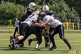 Cologne Falcons vs. Aachen Vampires - 03.07.2016 RL NRW: Cologne Falcons vs. Aachen Vampires (0:3)