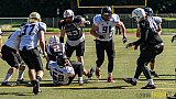 Cologne Falcons vs. Aachen Vampires - 03.07.2016 RL NRW: Cologne Falcons vs. Aachen Vampires (0:3)