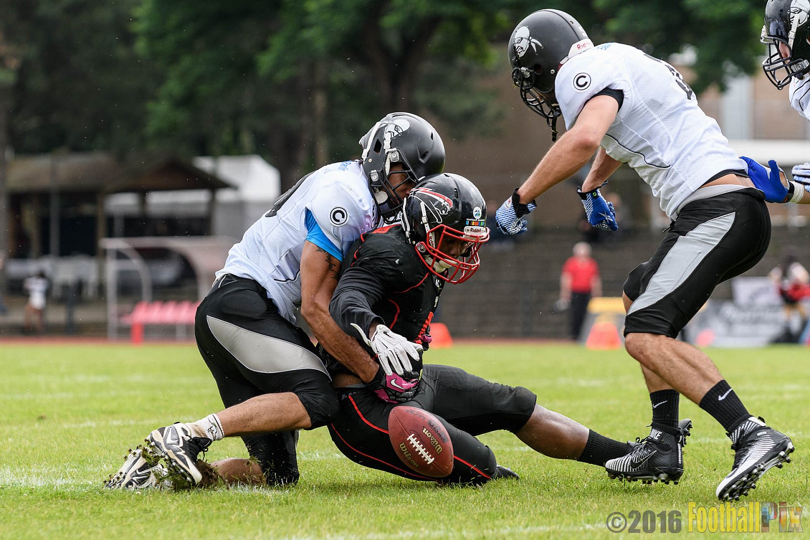 Düsseldorf Panther vs. Berlin Rebels - 16.07.2016 GFL Nord: Düsseldorf Panther vs. Berlin Rebels (14:36)