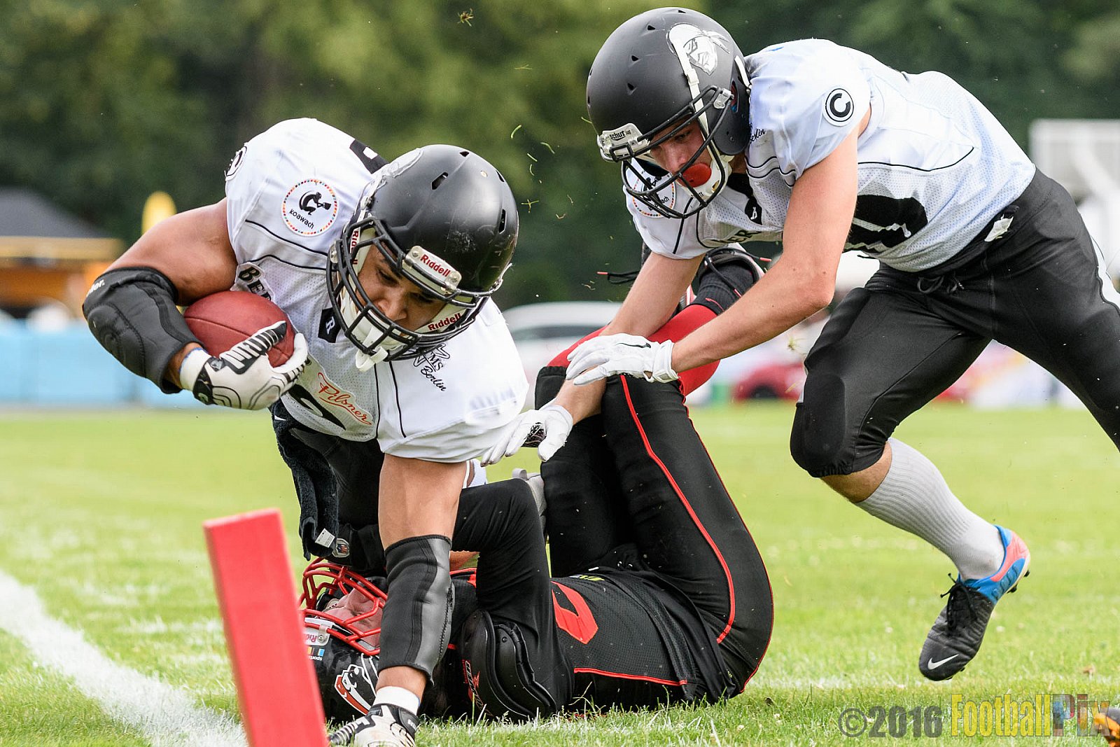 Düsseldorf Panther vs. Berlin Rebels - 16.07.2016 GFL Nord: Düsseldorf Panther vs. Berlin Rebels (14:36)