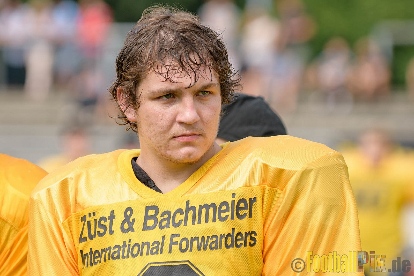 Essen Assindia Cardinals vs. Ritterhude Badgers - 23.07.2016 GFL2: Essen Assindia Cardinals vs. Ritterhude Badgers (41:35)