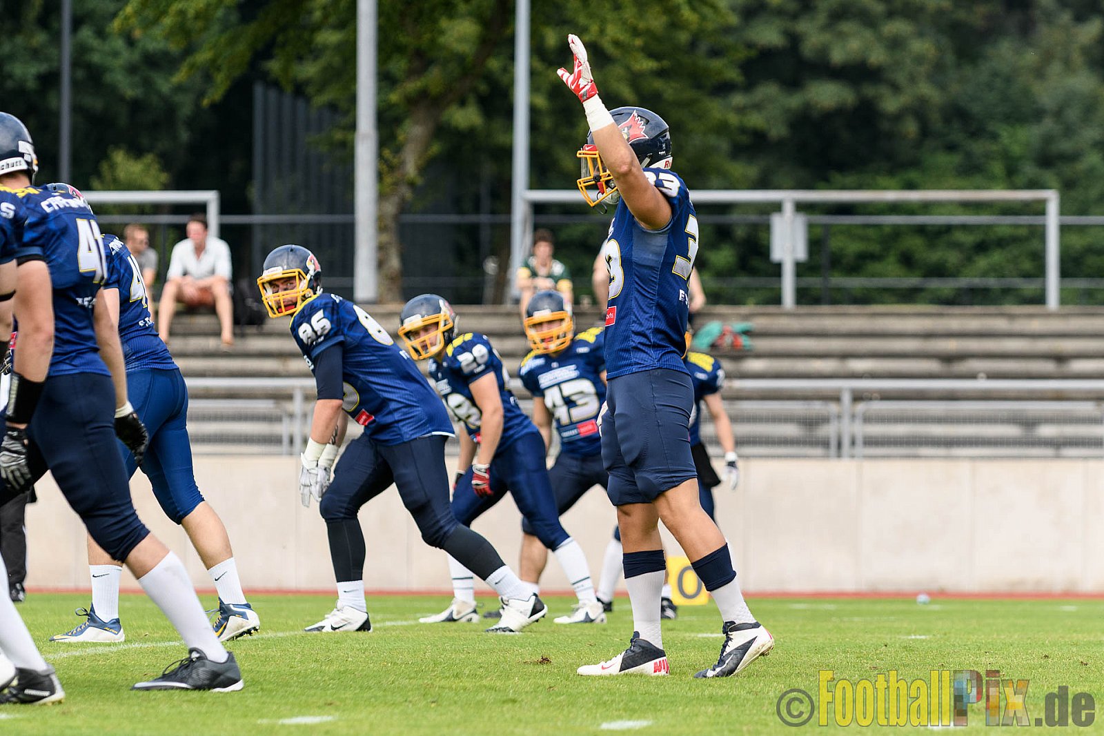 Essen Assindia Cardinals vs. Ritterhude Badgers - 23.07.2016 GFL2: Essen Assindia Cardinals vs. Ritterhude Badgers (41:35)