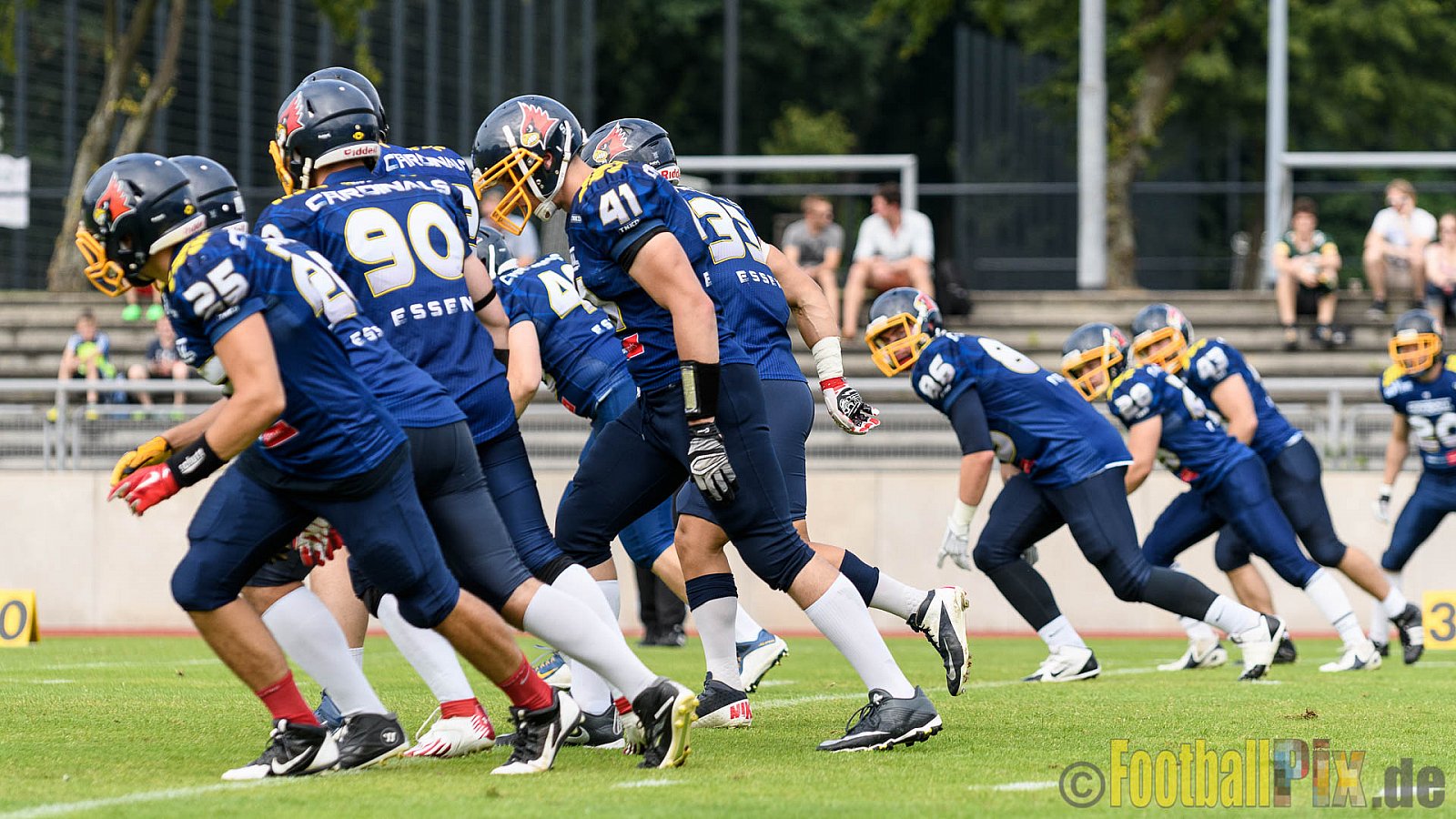 Essen Assindia Cardinals vs. Ritterhude Badgers - 23.07.2016 GFL2: Essen Assindia Cardinals vs. Ritterhude Badgers (41:35)