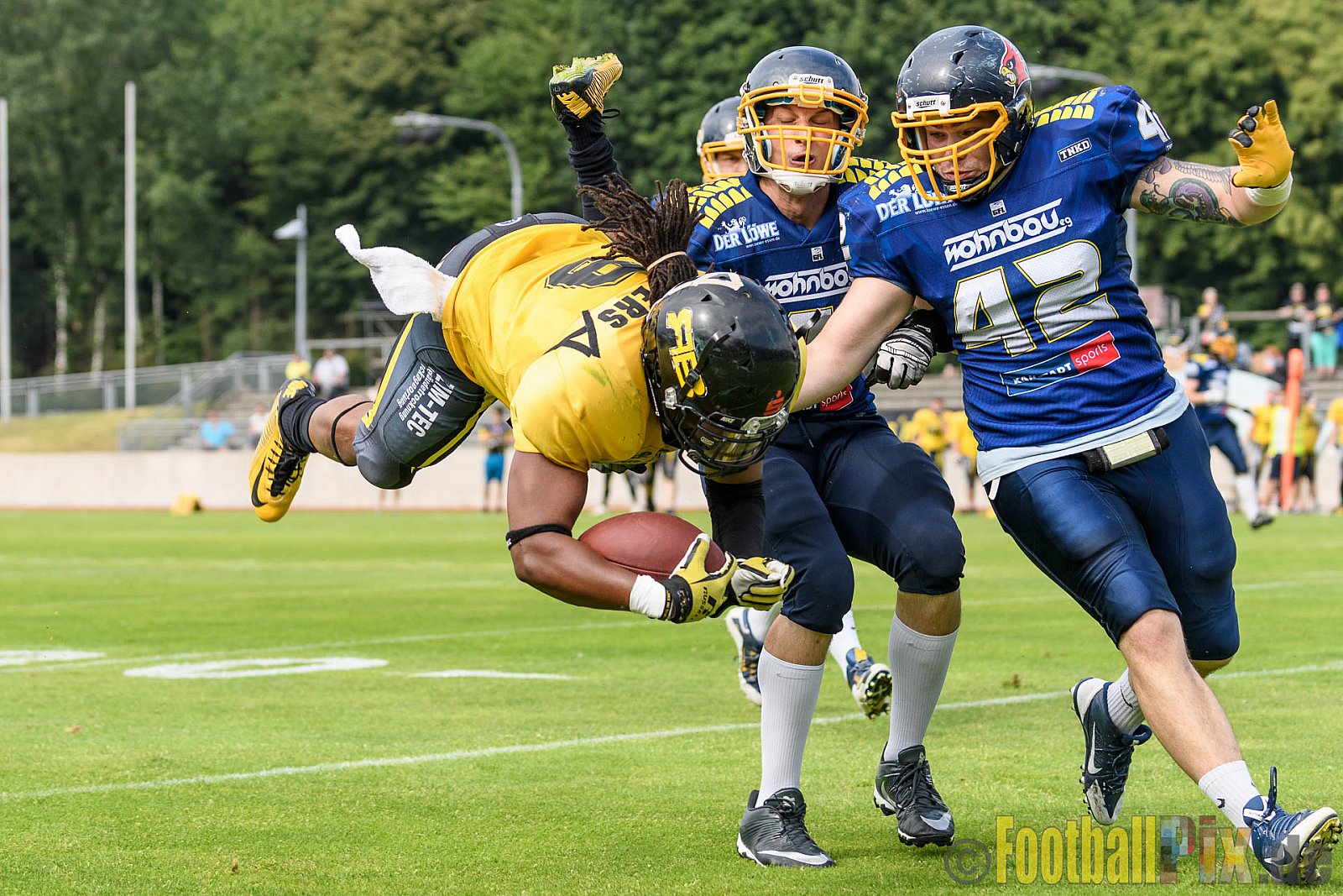 Essen Assindia Cardinals vs. Ritterhude Badgers - 23.07.2016 GFL2: Essen Assindia Cardinals vs. Ritterhude Badgers (41:35)