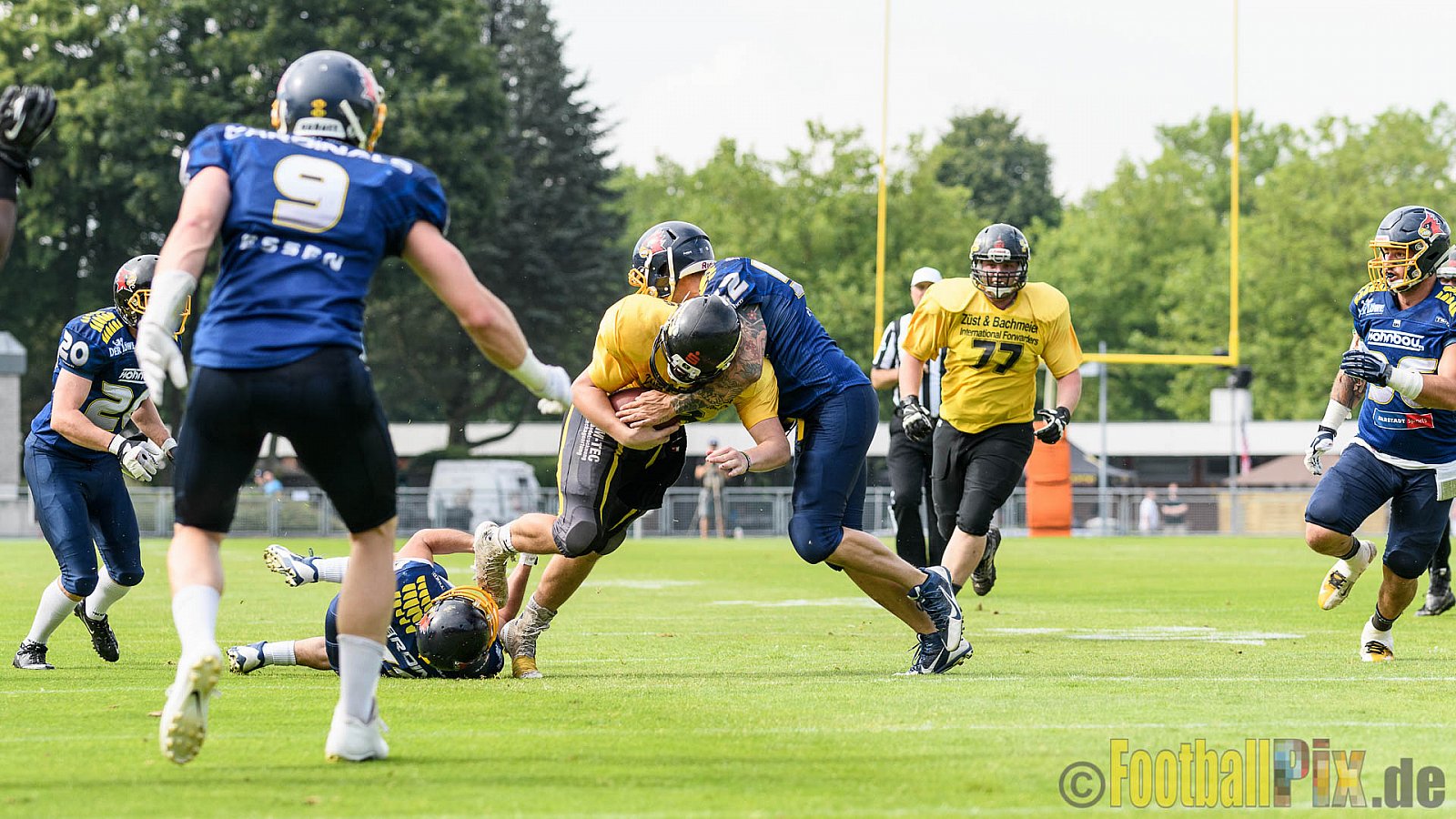 Essen Assindia Cardinals vs. Ritterhude Badgers - 23.07.2016 GFL2: Essen Assindia Cardinals vs. Ritterhude Badgers (41:35)