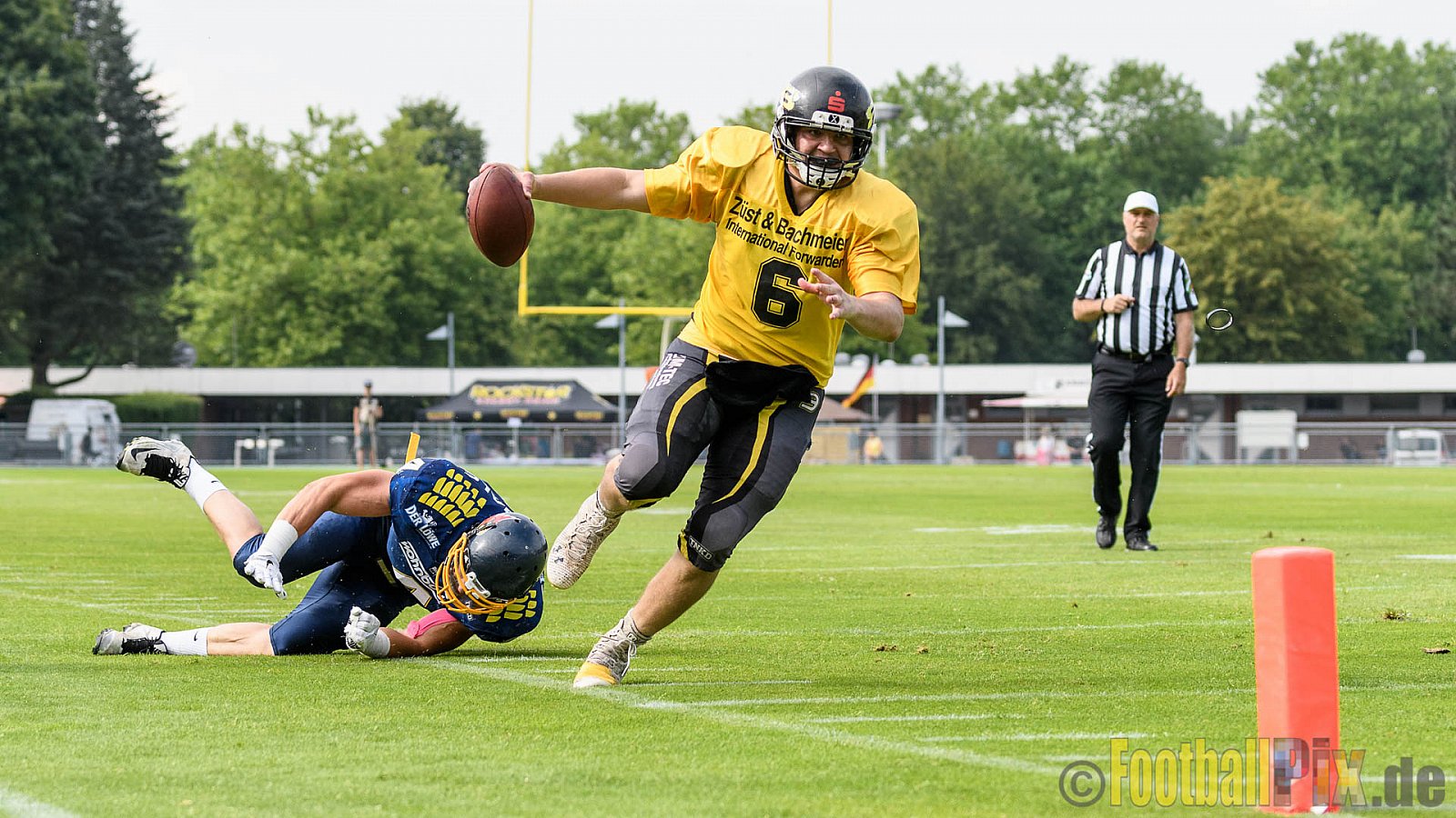Essen Assindia Cardinals vs. Ritterhude Badgers - 23.07.2016 GFL2: Essen Assindia Cardinals vs. Ritterhude Badgers (41:35)
