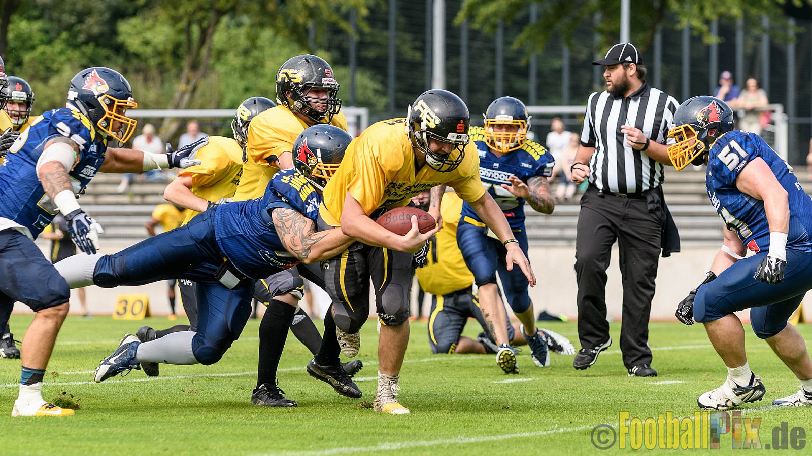 Essen Assindia Cardinals vs. Ritterhude Badgers - 23.07.2016 GFL2: Essen Assindia Cardinals vs. Ritterhude Badgers (41:35)
