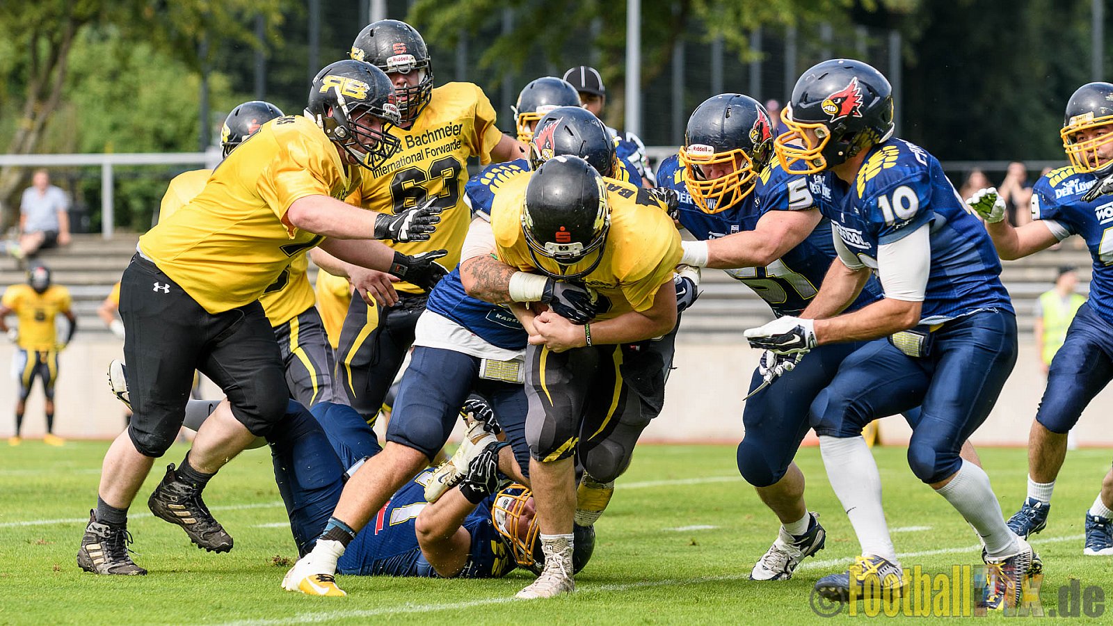 Essen Assindia Cardinals vs. Ritterhude Badgers - 23.07.2016 GFL2: Essen Assindia Cardinals vs. Ritterhude Badgers (41:35)