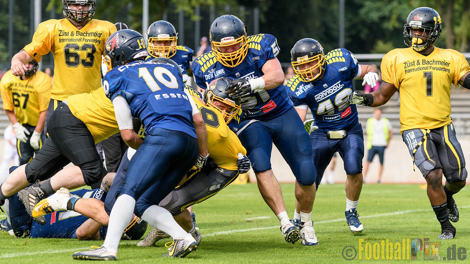 Essen Assindia Cardinals vs. Ritterhude Badgers - 23.07.2016 GFL2: Essen Assindia Cardinals vs. Ritterhude Badgers (41:35)
