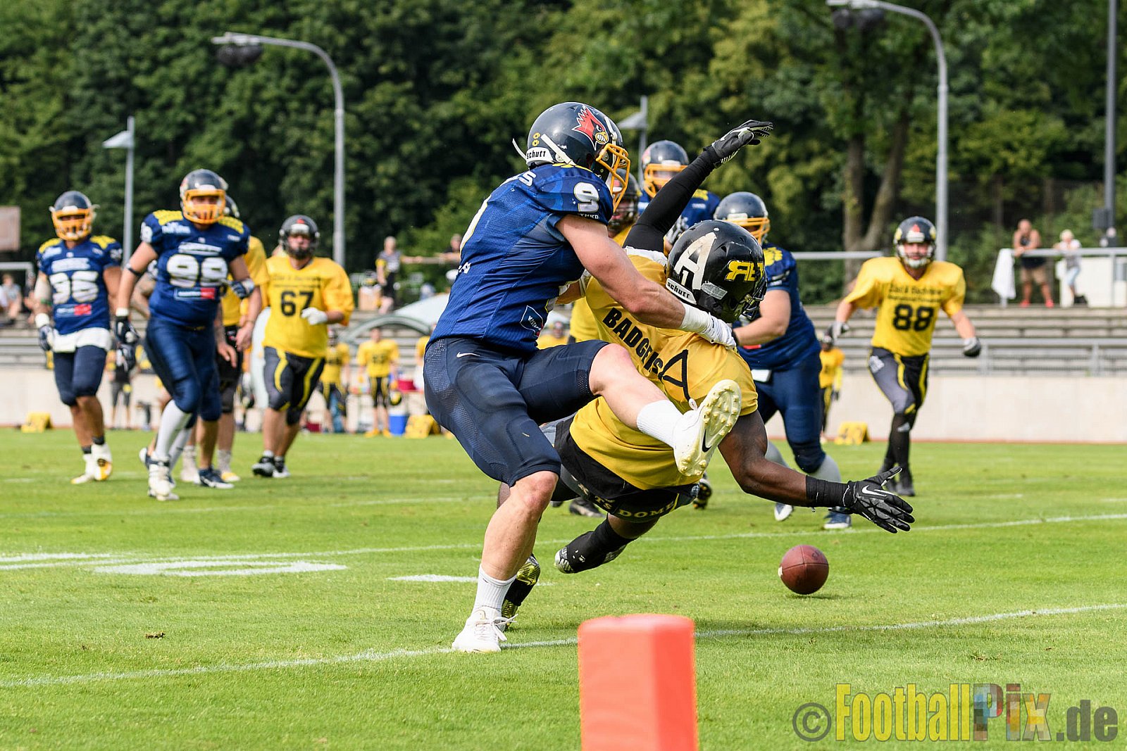 Essen Assindia Cardinals vs. Ritterhude Badgers - 23.07.2016 GFL2: Essen Assindia Cardinals vs. Ritterhude Badgers (41:35)