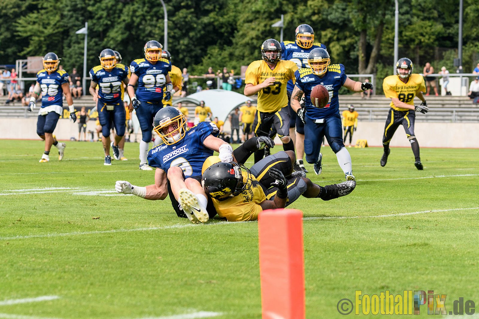 Essen Assindia Cardinals vs. Ritterhude Badgers - 23.07.2016 GFL2: Essen Assindia Cardinals vs. Ritterhude Badgers (41:35)