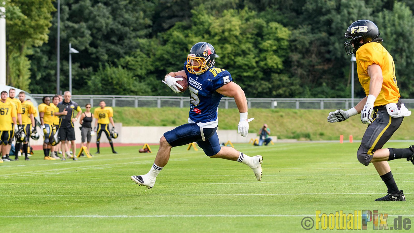 Essen Assindia Cardinals vs. Ritterhude Badgers - 23.07.2016 GFL2: Essen Assindia Cardinals vs. Ritterhude Badgers (41:35)