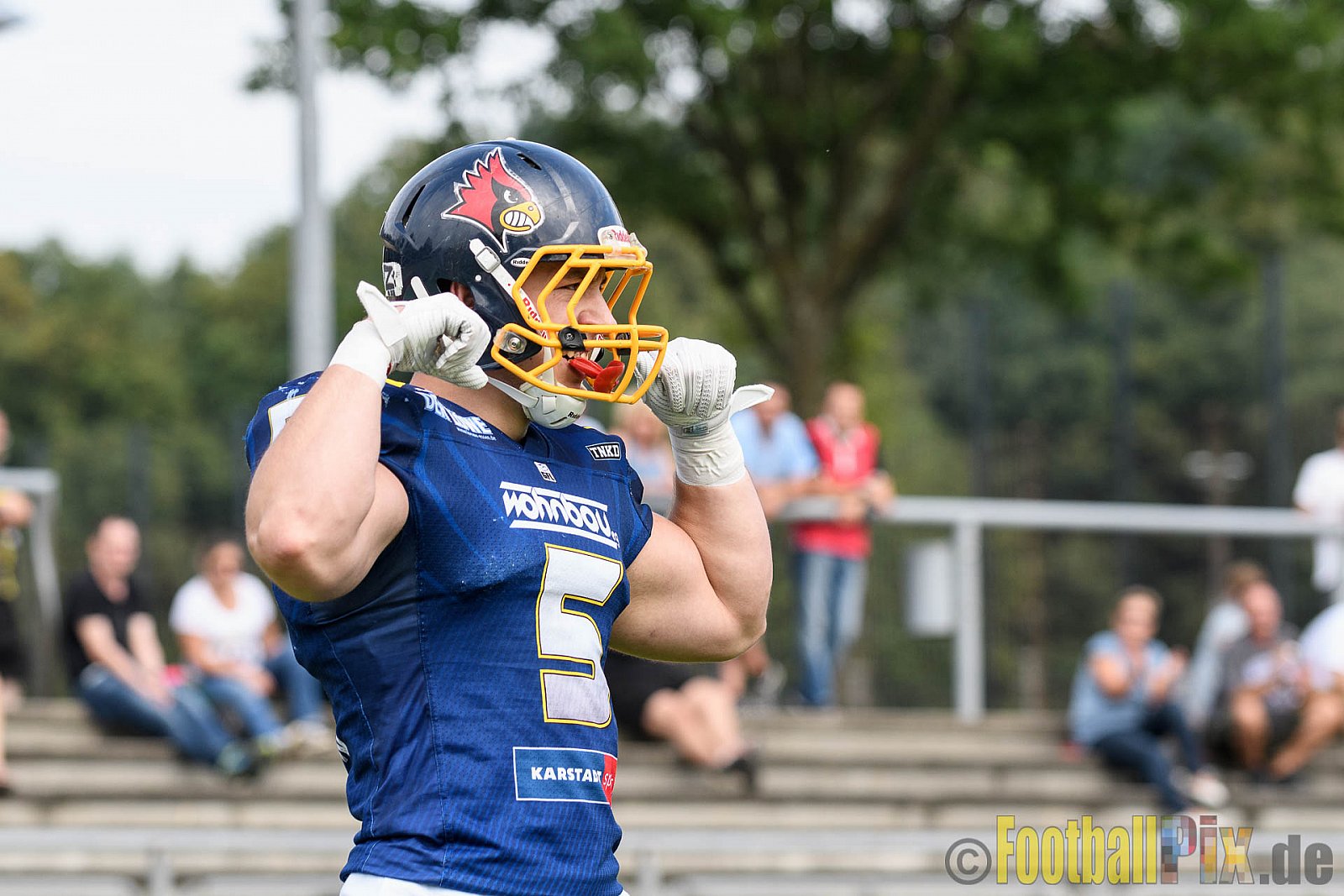 Essen Assindia Cardinals vs. Ritterhude Badgers - 23.07.2016 GFL2: Essen Assindia Cardinals vs. Ritterhude Badgers (41:35)