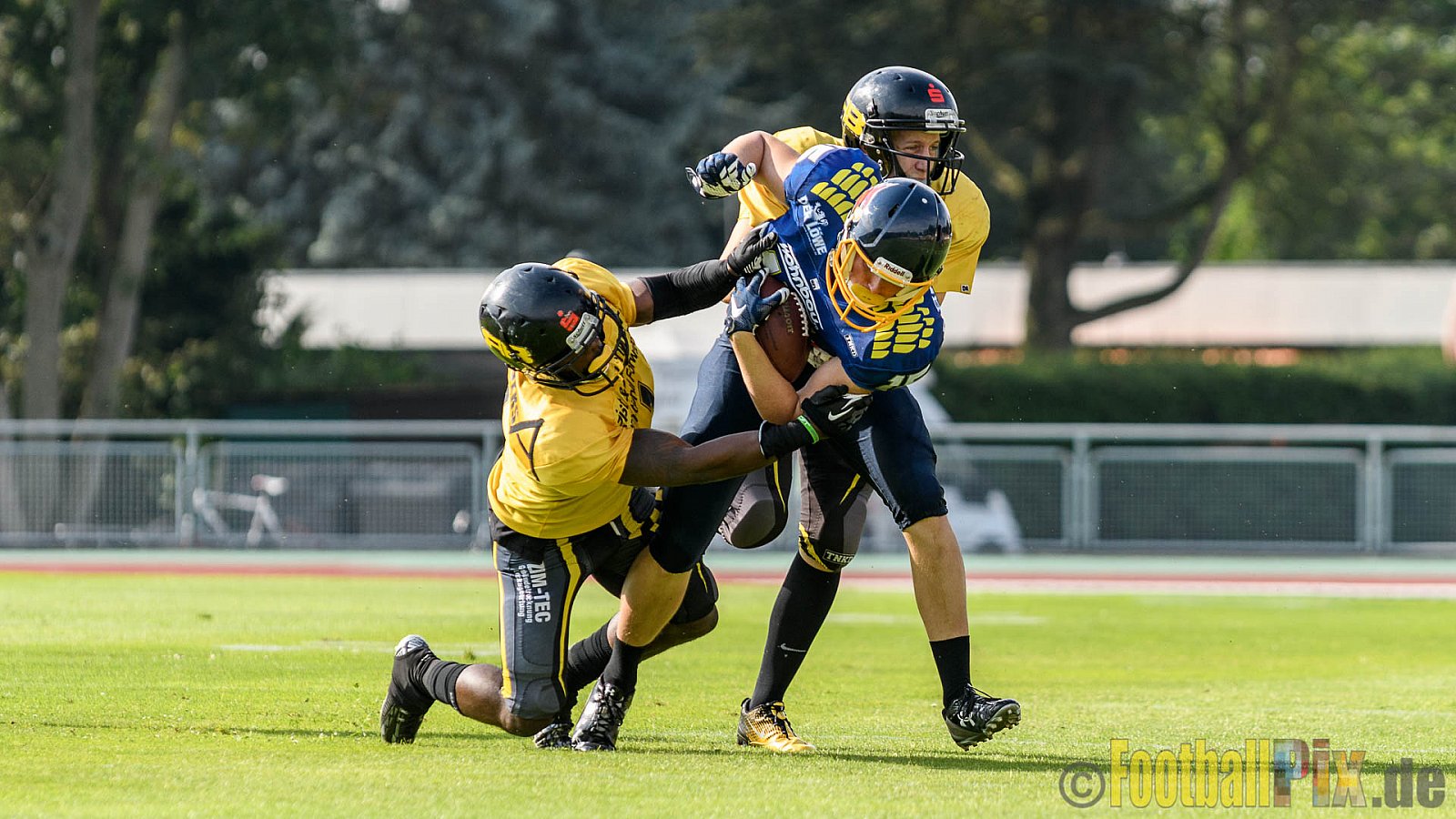 Essen Assindia Cardinals vs. Ritterhude Badgers - 23.07.2016 GFL2: Essen Assindia Cardinals vs. Ritterhude Badgers (41:35)