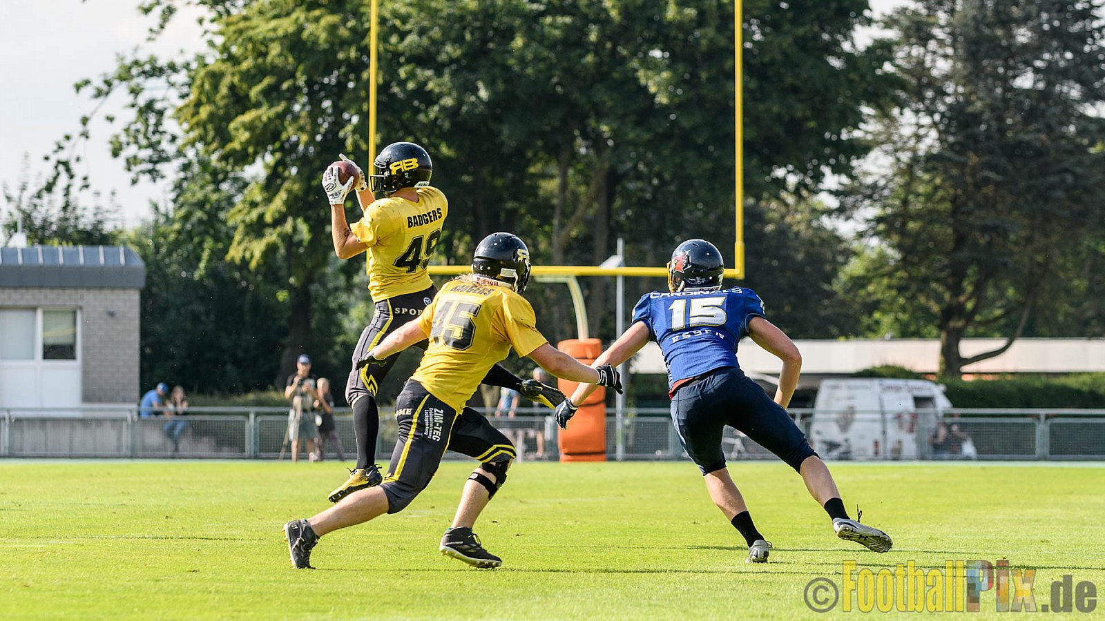 Essen Assindia Cardinals vs. Ritterhude Badgers - 23.07.2016 GFL2: Essen Assindia Cardinals vs. Ritterhude Badgers (41:35)