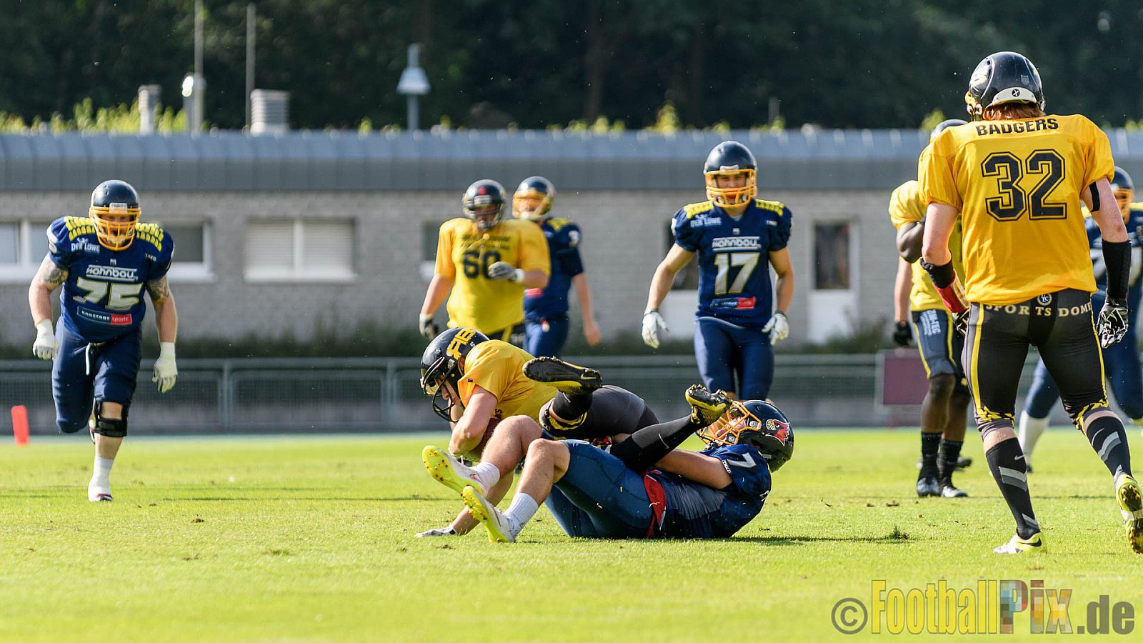 Essen Assindia Cardinals vs. Ritterhude Badgers - 23.07.2016 GFL2: Essen Assindia Cardinals vs. Ritterhude Badgers (41:35)