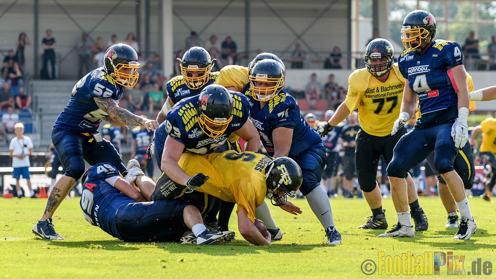Essen Assindia Cardinals vs. Ritterhude Badgers - 23.07.2016 GFL2: Essen Assindia Cardinals vs. Ritterhude Badgers (41:35)