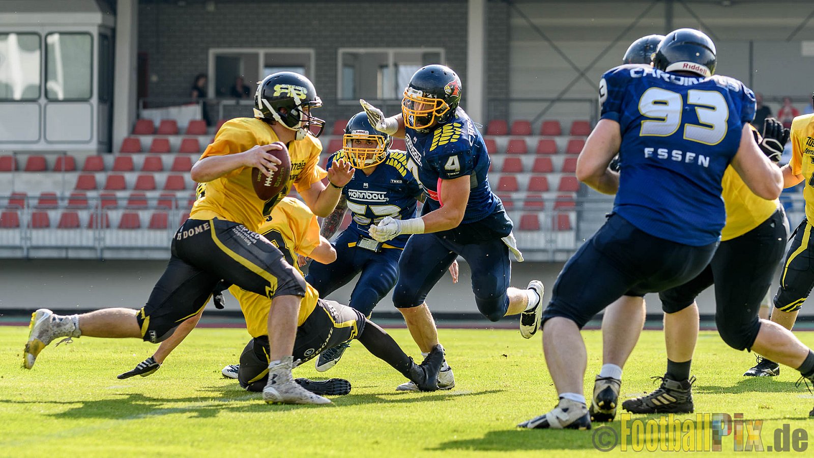 Essen Assindia Cardinals vs. Ritterhude Badgers - 23.07.2016 GFL2: Essen Assindia Cardinals vs. Ritterhude Badgers (41:35)