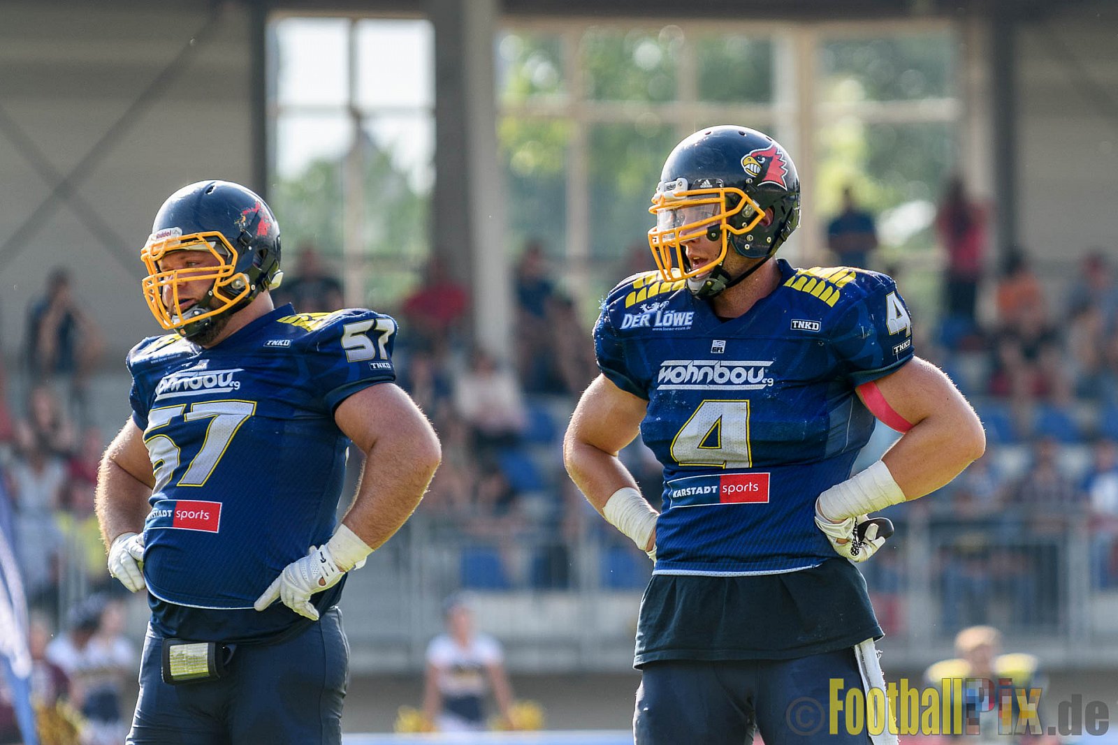 Essen Assindia Cardinals vs. Ritterhude Badgers - 23.07.2016 GFL2: Essen Assindia Cardinals vs. Ritterhude Badgers (41:35)