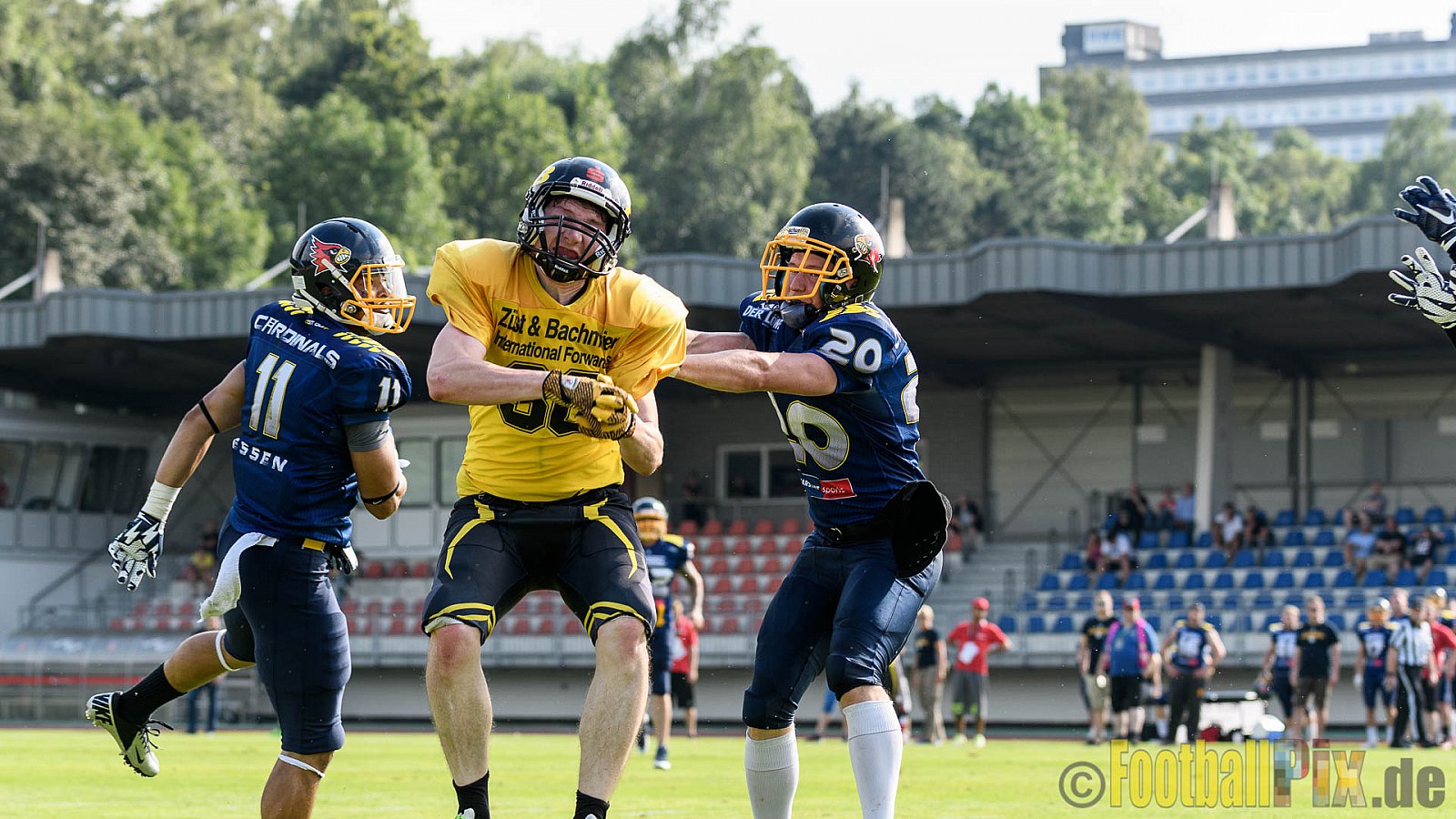 Essen Assindia Cardinals vs. Ritterhude Badgers - 23.07.2016 GFL2: Essen Assindia Cardinals vs. Ritterhude Badgers (41:35)