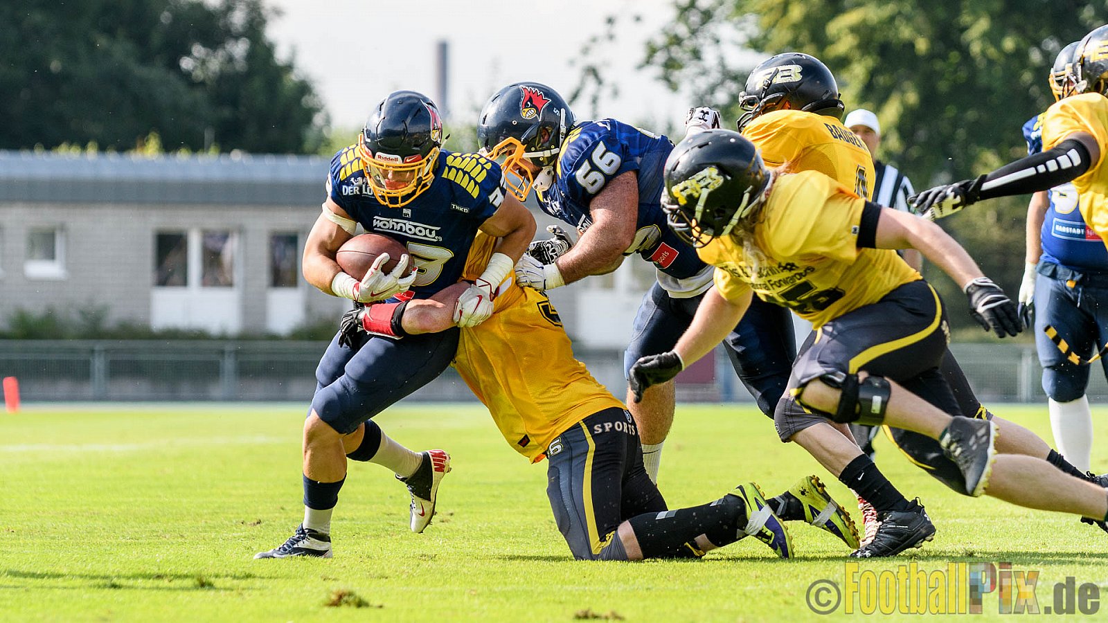 Essen Assindia Cardinals vs. Ritterhude Badgers - 23.07.2016 GFL2: Essen Assindia Cardinals vs. Ritterhude Badgers (41:35)