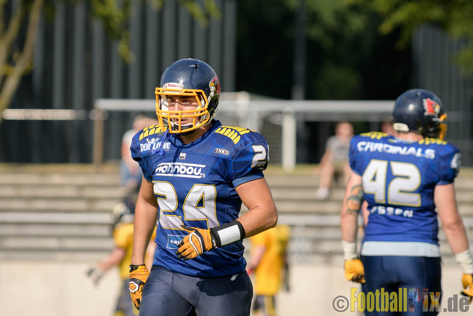 Essen Assindia Cardinals vs. Ritterhude Badgers - 23.07.2016 GFL2: Essen Assindia Cardinals vs. Ritterhude Badgers (41:35)