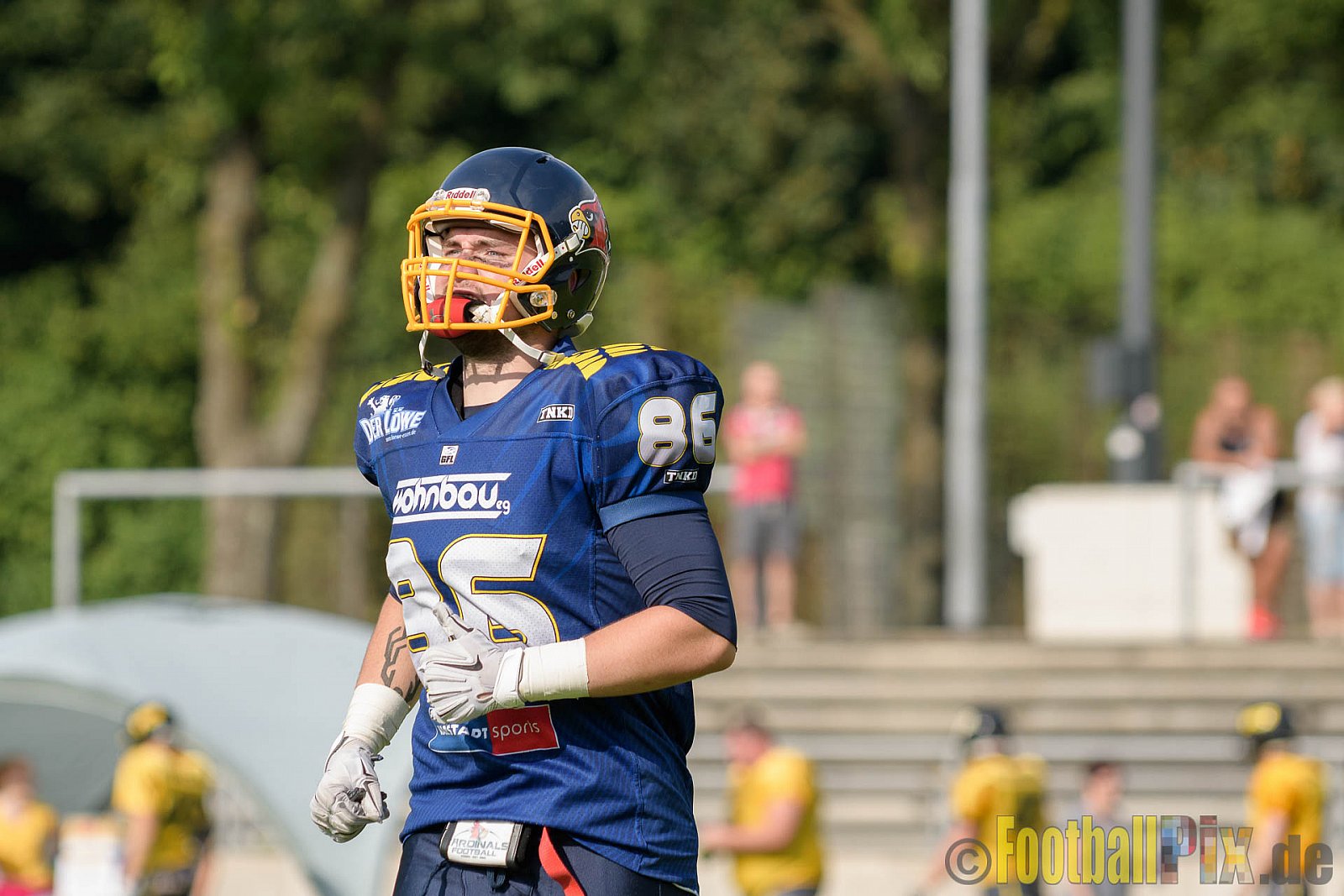 Essen Assindia Cardinals vs. Ritterhude Badgers - 23.07.2016 GFL2: Essen Assindia Cardinals vs. Ritterhude Badgers (41:35)