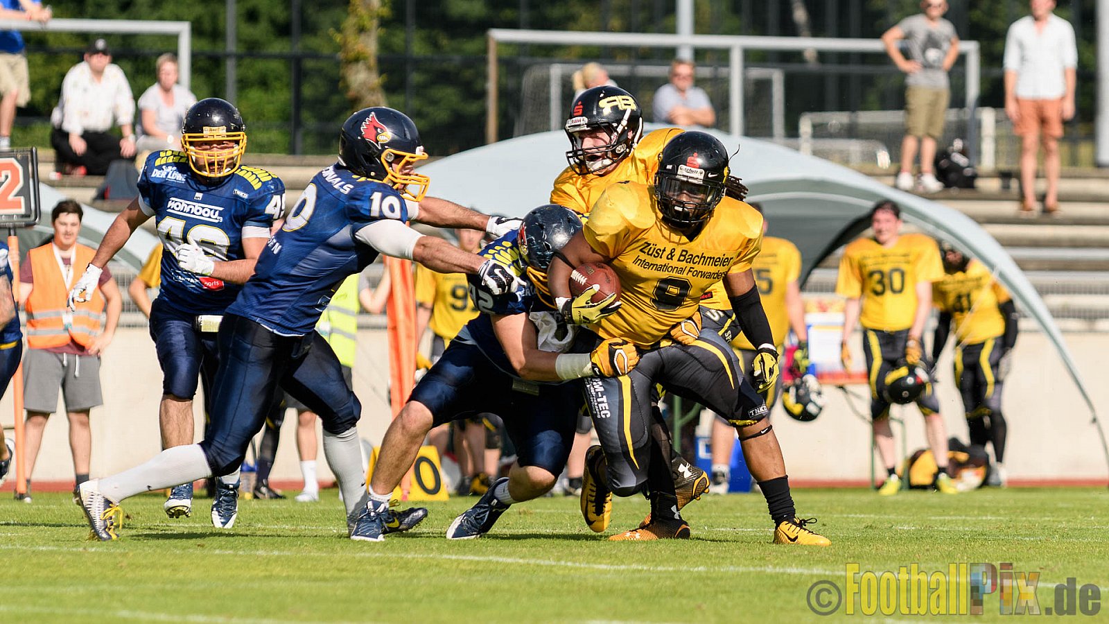 Essen Assindia Cardinals vs. Ritterhude Badgers - 23.07.2016 GFL2: Essen Assindia Cardinals vs. Ritterhude Badgers (41:35)