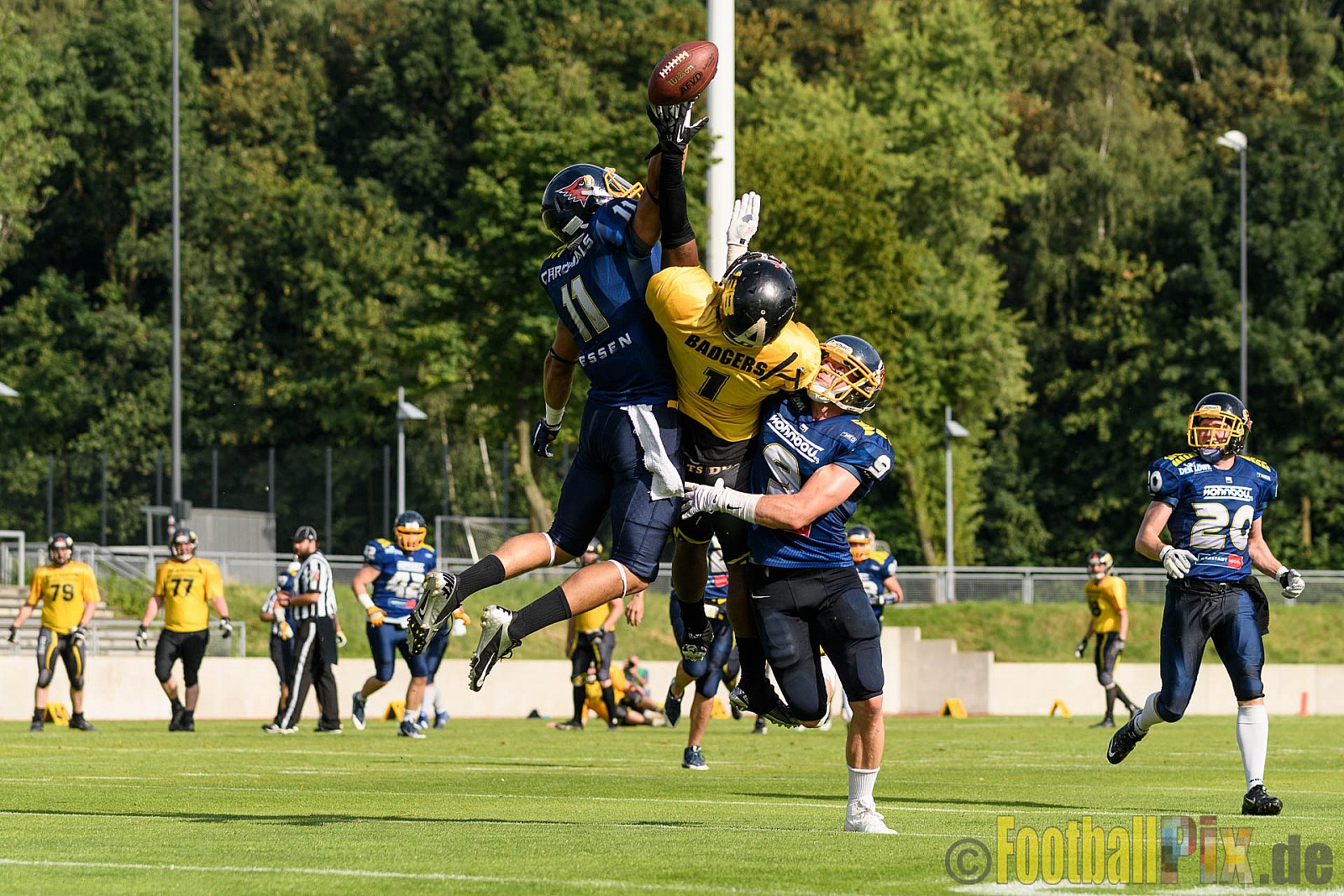 Essen Assindia Cardinals vs. Ritterhude Badgers - 23.07.2016 GFL2: Essen Assindia Cardinals vs. Ritterhude Badgers (41:35)